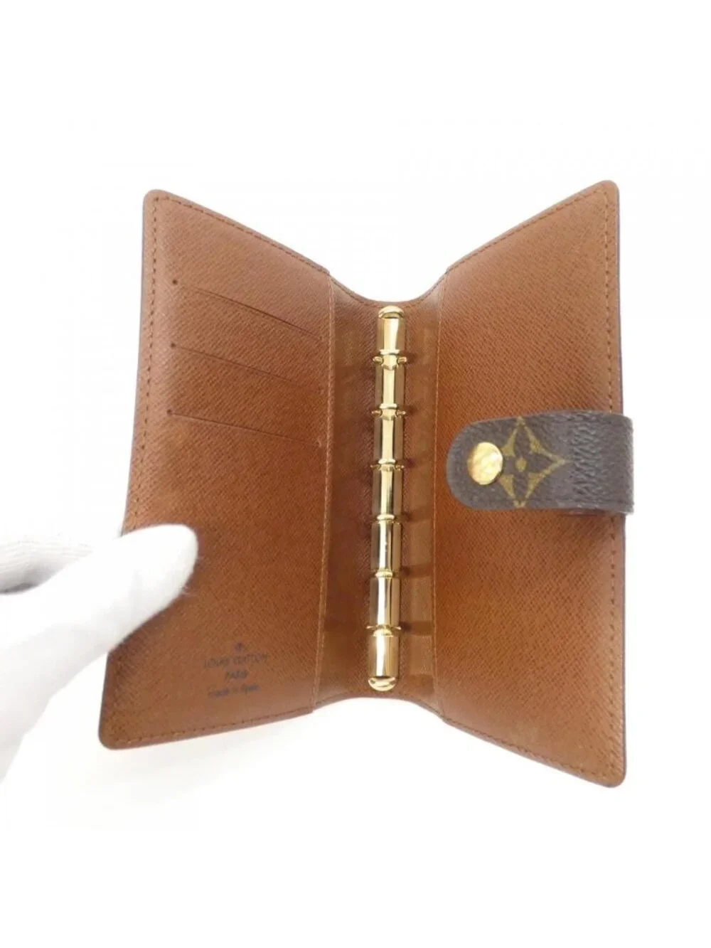 Louis Vuitton brand louis